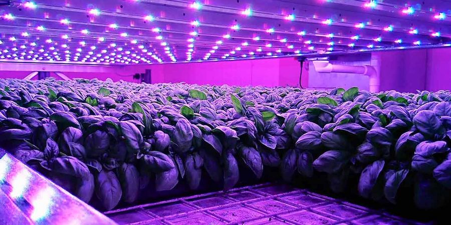 Greenman Am Annatal Landwirtschaft der Zukunft Greenman Am Annatal Landwirtschaft der Zukunft