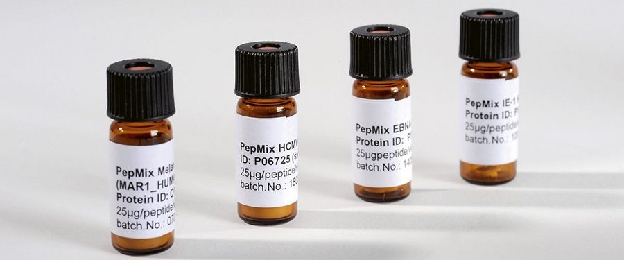 Peptide werden weltweit in der Onko-Immunologie genutzt Peptide werden weltweit in der Onko-Immunologie genutzt