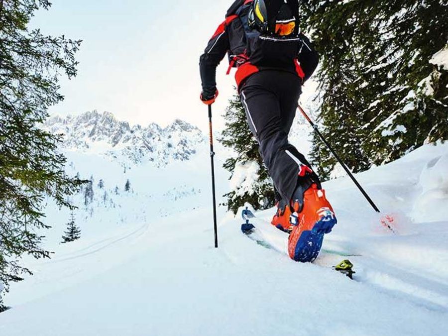 Oberalp DYNAFIT Ausstattung für Skitouren Oberalp DYNAFIT Ausstattung für Skitouren