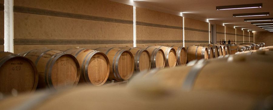 Die traditionelle Kelterei von Cantine Vitevis erfolgt nach wie vor in großen Holzfässern – alles andere wäre ein Widerspruch zur Tradition.