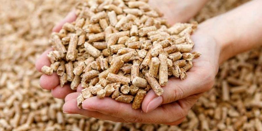 Holzkontor und Pelletierwerk Schwedt Holzpellets Holzkontor und Pelletierwerk Schwedt Holzpellets