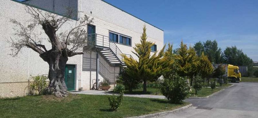 Gruppo Sassano – Centrale del Latte del Molise Firmensitz Gruppo Sassano – Centrale del Latte del Molise Firmensitz