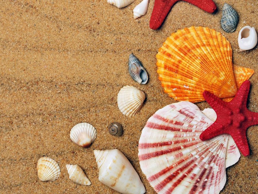 Habe ich Anspruch auf unbezahlten Urlaub?
