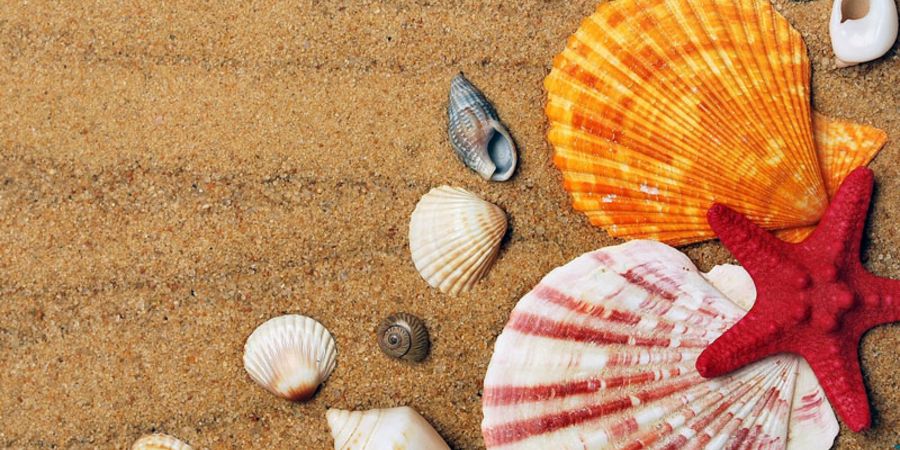 Habe ich Anspruch auf unbezahlten Urlaub? Habe ich Anspruch auf unbezahlten Urlaub?