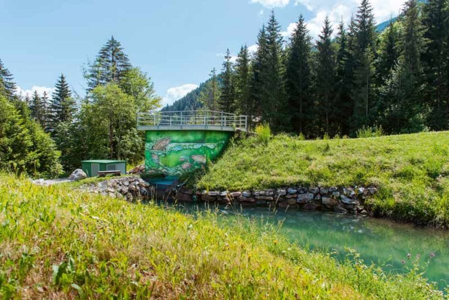 AAE Naturstrom Wasserkraft AAE Naturstrom Wasserkraft