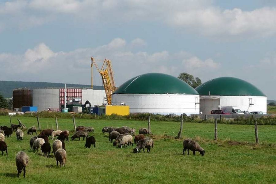 Stadtwerke Springe Biogasanlage ´Schwarzer Koppelweg` Stadtwerke Springe Biogasanlage ´Schwarzer Koppelweg`
