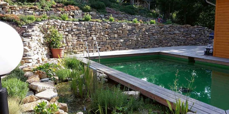 re-natur Schwimmteich re-natur Schwimmteich