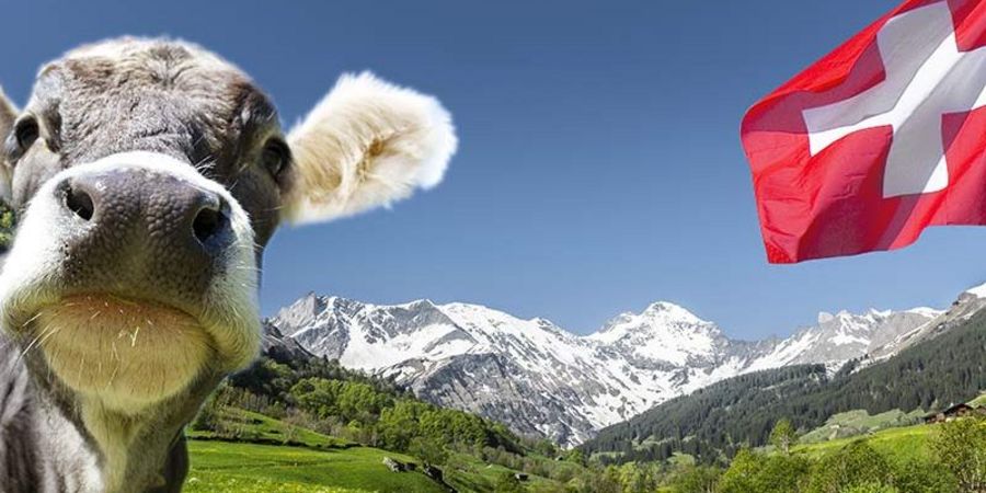 Business Facts Schweiz – Leben und Arbeiten in der Schweiz Business Facts Schweiz – Leben und Arbeiten in der Schweiz
