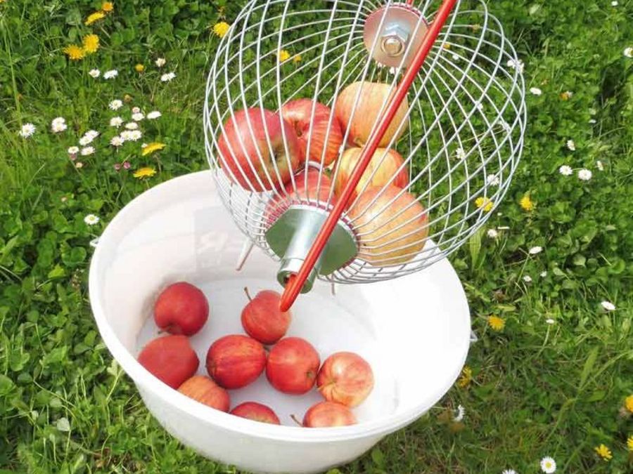 Feucht Obsttechnik Apfelrollsammler Feucht Obsttechnik Apfelrollsammler