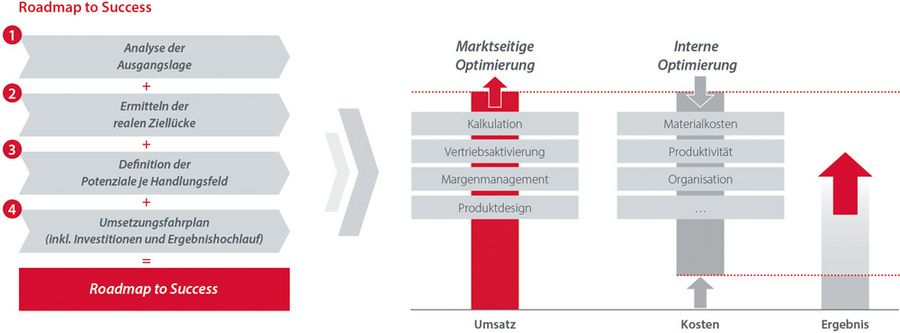 TARGUS Management Consulting Roadmap to Success