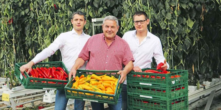SCHERZER GEMÜSE Peter Scherzer mit seinen Söhnen Stefan und Andreas SCHERZER GEMÜSE Peter Scherzer mit seinen Söhnen Stefan und Andreas