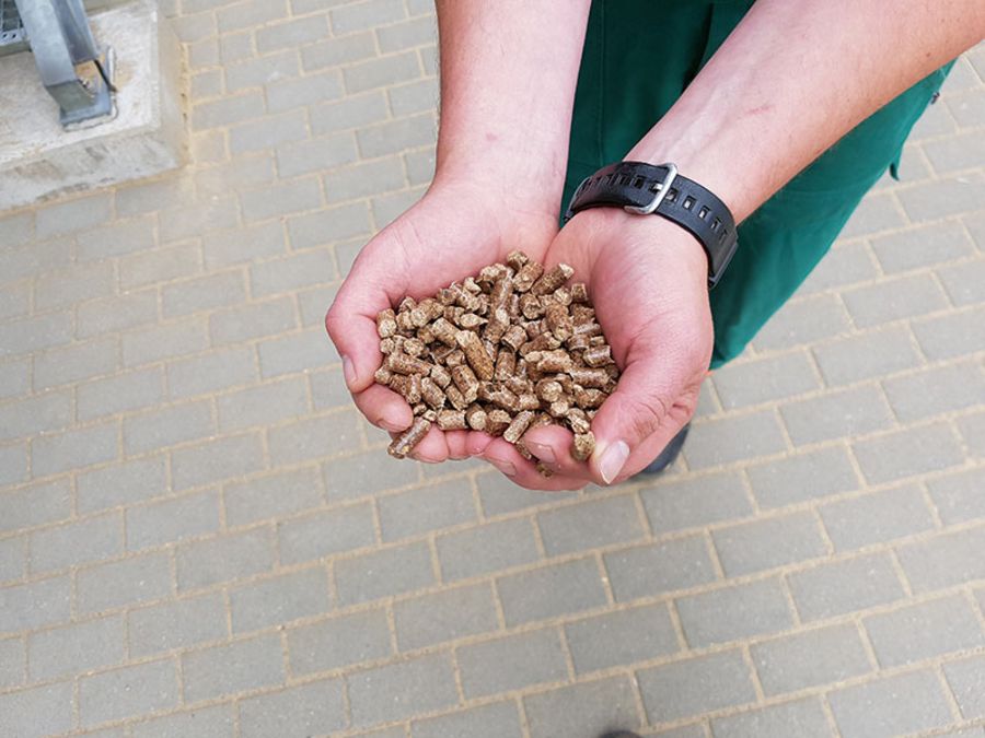 Die Pellets von HPS zeichnen sich durch eine typische dunkle Farbe aus. Sie bestehen vor allem aus Spänen aus regionalen Kiefern. Die Pellets von HPS zeichnen sich durch eine typische dunkle Farbe aus. Sie bestehen vor allem aus Spänen aus regionalen Kiefern.
