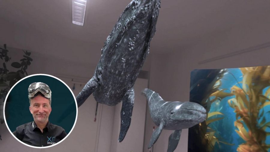 Mit Augmented Reality und Spatial Computing Empathie und Wirkung steigern