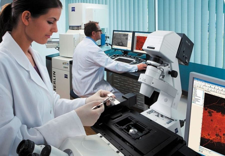 Korrelative Mikroskopie: Carl Zeiss bietet Systeme für Licht- und Elektronenmikroskopie aus einer Hand Korrelative Mikroskopie: Carl Zeiss bietet Systeme für Licht- und Elektronenmikroskopie aus einer Hand