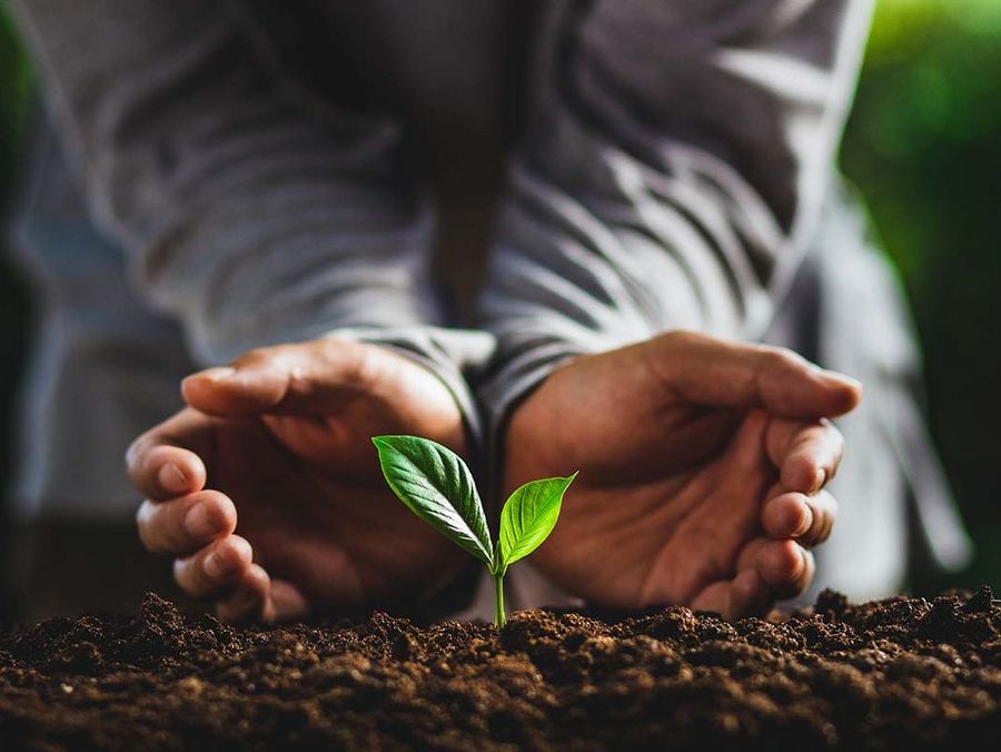 Wie der Umweltschutzgedanke  eine ganz neue Riege von Startups hervorgebracht hat