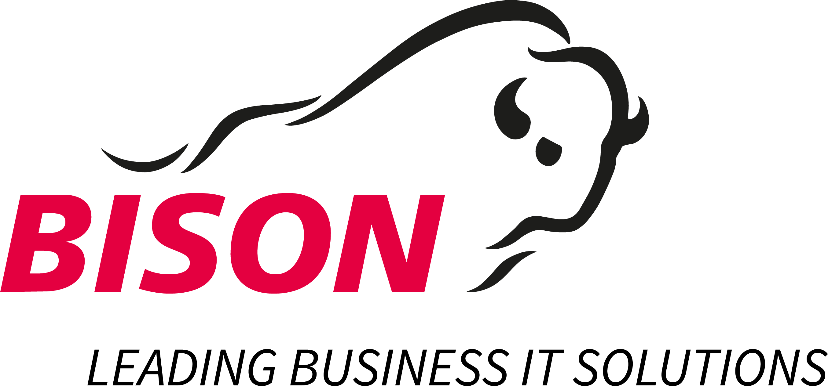 Vertriebspartnerschaft mit der BISON Group