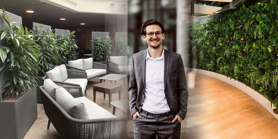 Wie Begrünung das Büroklima prägt