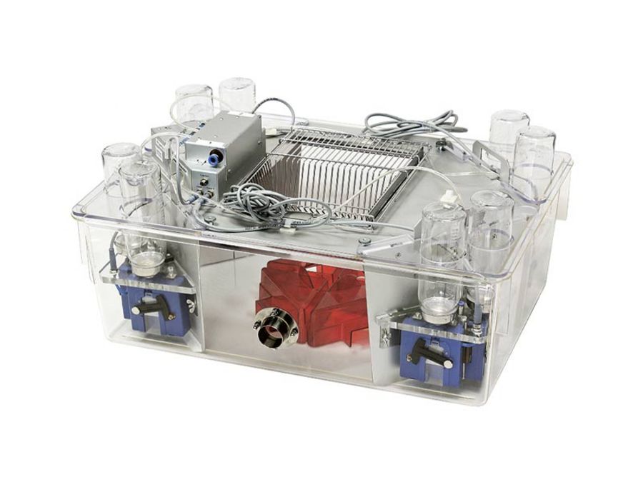 TSE Systems IntelliCage TSE Systems IntelliCage