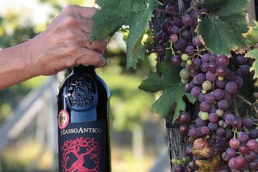 Schenk Italia Masso Primitivo Schenk Italia Masso Primitivo