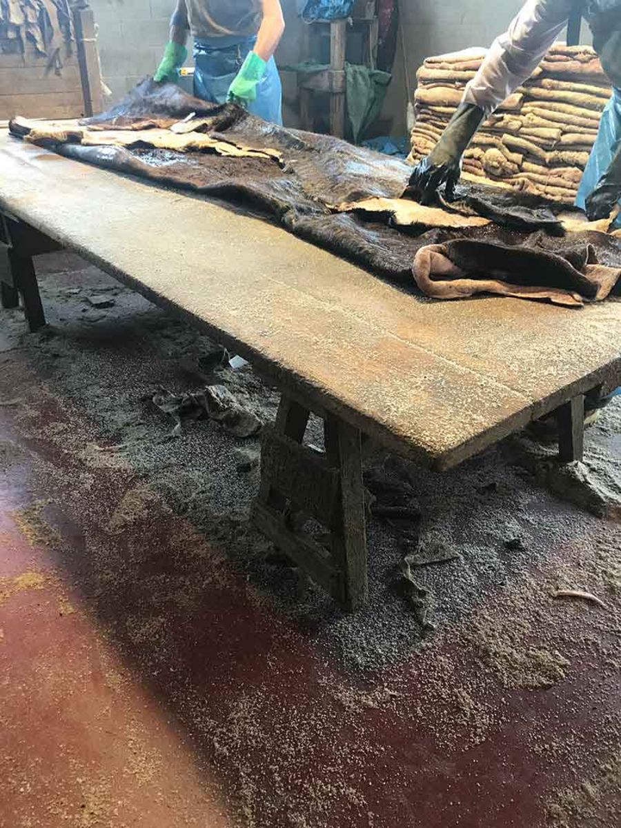 Ghiropelli srl Ghiropelli srl