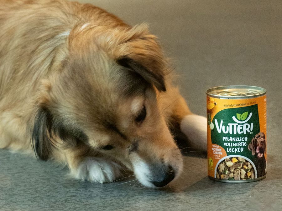 Veganer Genuss für Vierbeiner
