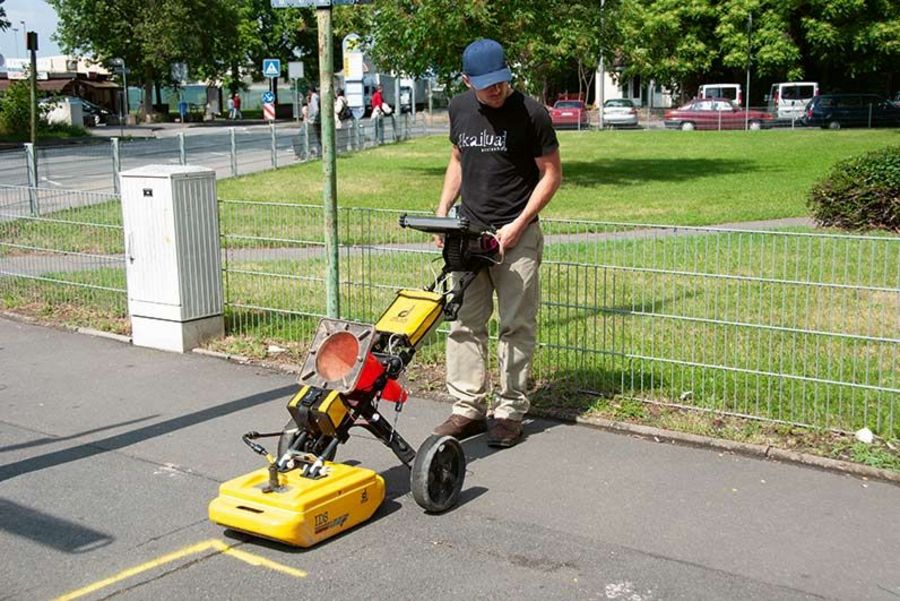 Tauber Präventivmassnahmen Tauber Präventivmassnahmen