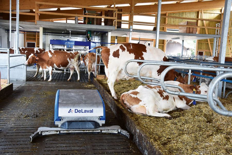 DeLaval GesmbH Entmistungsroboter RS450 DeLaval GesmbH Entmistungsroboter RS450