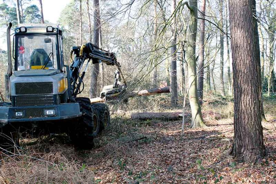 Josef Winkelheide GmbH Holz schlagen Josef Winkelheide GmbH Holz schlagen