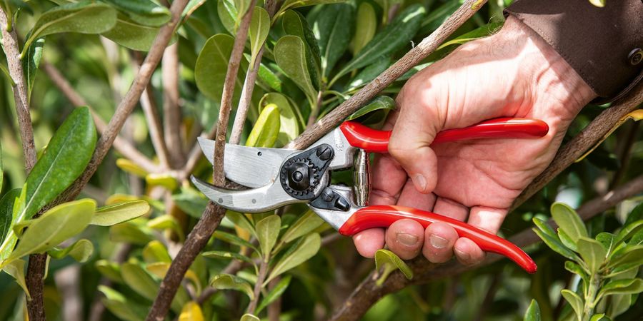 Felco SA Gartenschere Felco SA Gartenschere