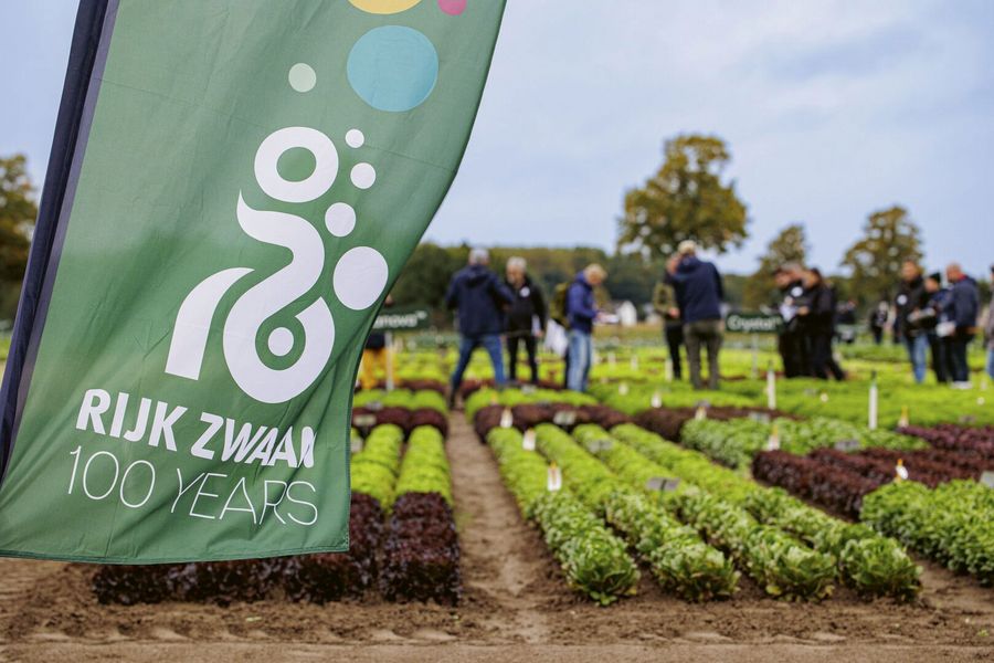 Rijk Zwaan Welver GmbH bunte Vielfalt