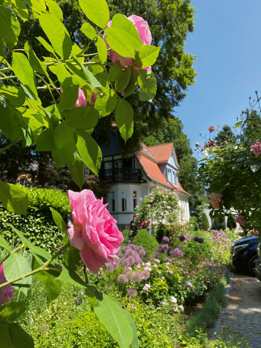 Rosenparkklinik GmbH Klink Rosenparkklinik GmbH Klink