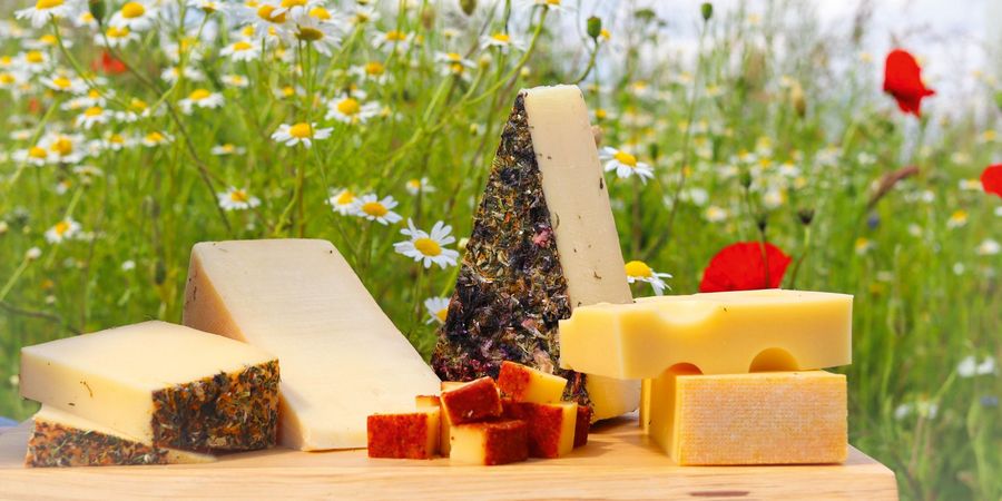 VÖCKLAKÄSEREI eGen Bergkäse, Emmentaler oder Mondseer