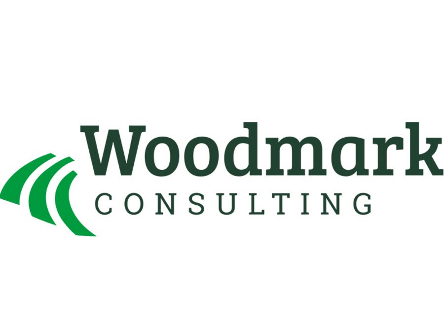 Woodmark Consulting AG