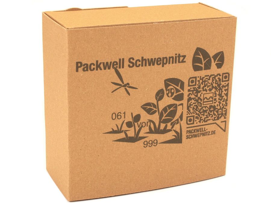 Packwell GmbH & Co. KG Karton Packwell GmbH & Co. KG Karton