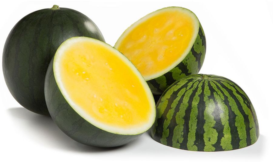 Rijk Zwaan Welver GmbH Melone