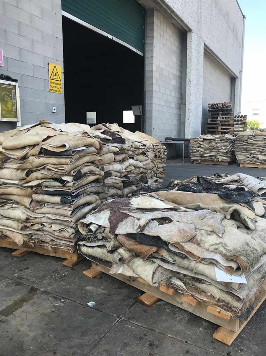 Ghiropelli srl Ghiropelli srl