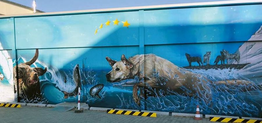 Dogma Tiernahrung Wandbild Dogma Tiernahrung Wandbild