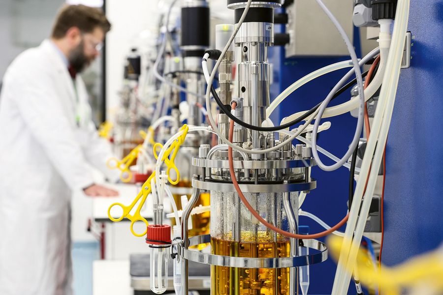 Technikum Laubholz GmbH Wertschöpfung 
