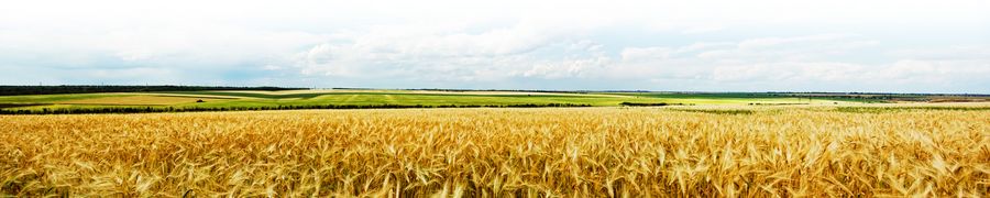 AdobeStock_31297722 AdobeStock_31297722