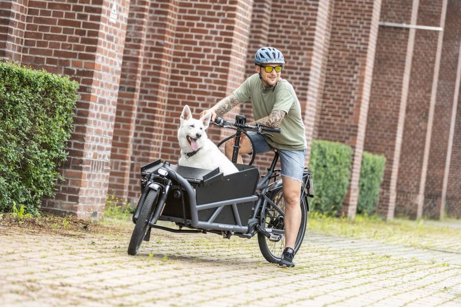 Lesora GmbH Lastenfahrrad
