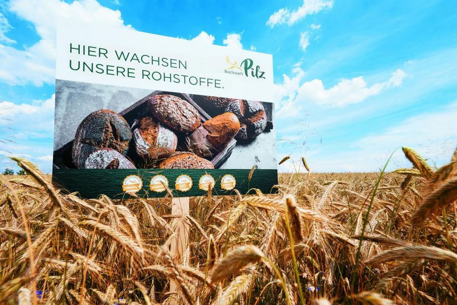 Backwelt Pilz GmbH Waldviertler Getreidefeld Backwelt Pilz GmbH Waldviertler Getreidefeld