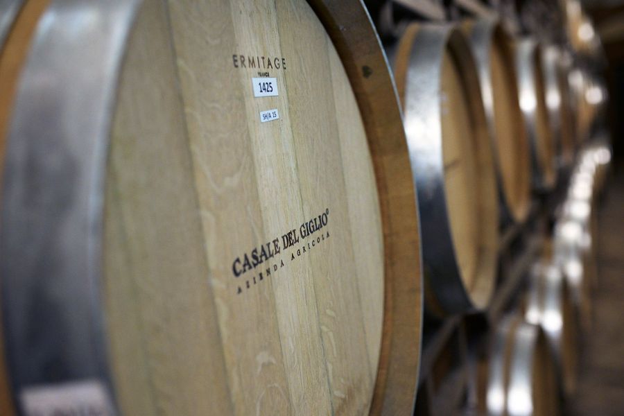 Casale del Giglio Soc. Agr. S.r.l. selektierte Barriques Casale del Giglio Soc. Agr. S.r.l. selektierte Barriques