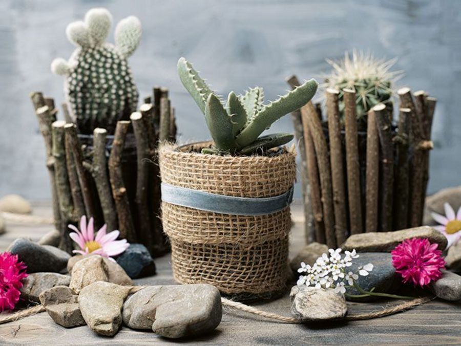 Zwergenwiese Naturkost GmbH Upcycling Blumentopf mit Kakteen Zwergenwiese Naturkost GmbH Upcycling Blumentopf mit Kakteen