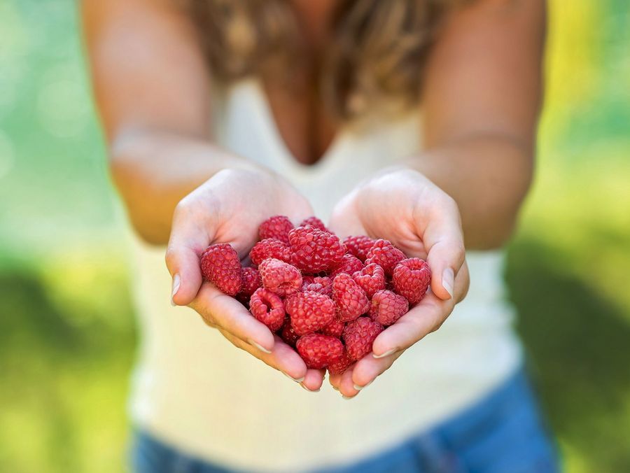Iprona Hengersberg KG Himbeeren