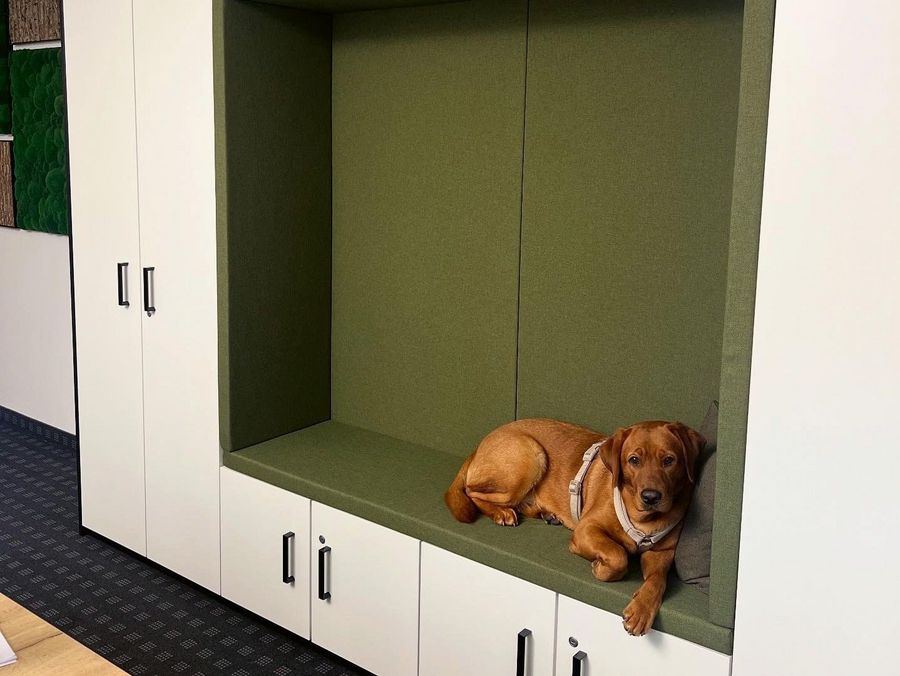Heisinger Büro- & Objekteinrichtung GmbH & Co. KG Bürohund Heisinger Büro- & Objekteinrichtung GmbH & Co. KG Bürohund