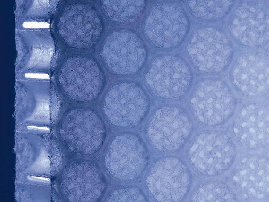 Leicht, stark, nachhaltig – die Zukunft gehört dem Leichtbau Leicht, stark, nachhaltig – die Zukunft gehört dem Leichtbau