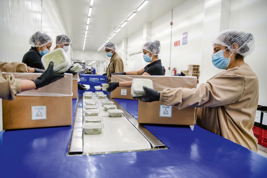 Agora America GmbH Guacamole-Produkte Agora America GmbH Guacamole-Produkte