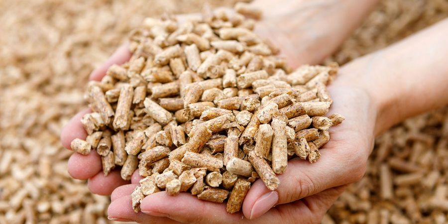 Pellets aus Holz - ein nachhaltiger Brennstoff
