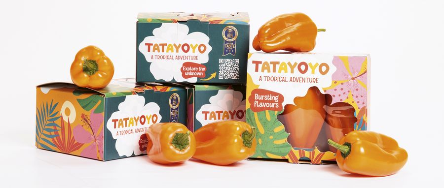 Rijk Zwaan Welver GmbH Paprika ‘Tatayoyo’