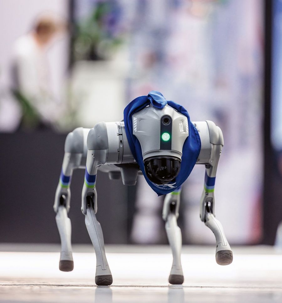 IPR GmbH Maskottchen IPR GmbH Maskottchen